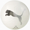 Futbalová lopta Puma ICON 083628 01 veľ. 5