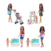 Barbie pestúnka herní set