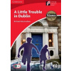 Little Trouble in Dublin - Richard MacAndrew