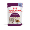Royal Canin Sensory Taste v želé - výhodné balenie: 24 × 85 g