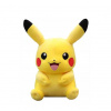 Plyšový pokémon Pikachu 25 cm
