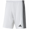 Adidas Squadra 21 M