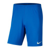 Shorts Nike Park III Knit Jr BV6865-463 (55491) Green Camo 140 CM