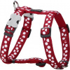 Postroj RD 25 mm x 56-80 cm - White Spots on Red