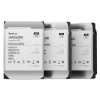 Synology HAS5300/12TB/HDD/3.5''/SAS/7200 RPM/5R HAS5300-12T