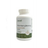 OstroVit Siberian ginseng 120 tablet sibiřský ženšen