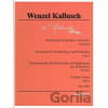 Variácie pre kontrabas a orchester - Wenzel Kallusch