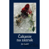 Čakanie na zázrak - Ján Badáň