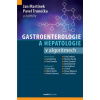 Gastroenterologie a hepatologie v algoritmech (Jan Martínek; Pavel Trunečka; kolektiv)()