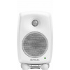Genelec 8020 DWM