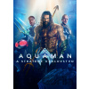 Aquaman a stratené kráľovstvo (SK) DVD