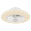 Globo 03628