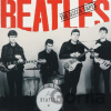 The Beatles: The Decca Tapes (Red Marble) LP - Beatles