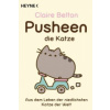 Pusheen, die Katze
