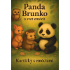 Panda Brunko a svet emócií - kartičky - Slávka Findurová