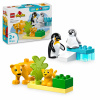LEGO Duplo 10442 Rodiny divokých zvierat: tučniaky a levy