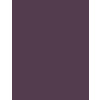 Inebrya Color Violet 5/2 Light Chestnut 100 ml