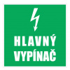 Piktogram HLAVNÝ VYPÍNAČ informačný