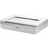 Epson WorkForce DS-50000 B11B204131