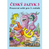 Český jazyk 3 Pracovní sešit pro 3. ročník - Lenka Dočkalová