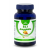 Naturalpharm Amygdalín B17 20mg tablety 200 ks