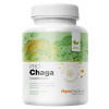 MycoMedica Chaga PRO BIO 34% betaglukanů 90 kapsúl