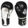 Boxerské rukavice 10oz - Classic White - Origin Series 8 oz