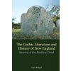 Gothic Literature and History of New England (Faye Ringel)(Brožovaná)