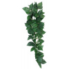 Dekorácie umelá rastlina - lezenie Sumatra Komodo 13cm