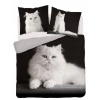 Detexpol obliečky Perzská mačka Bavlna 200x220 2x70x80