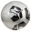 Lopta PUMA PUMA BIG CAT BALL 08421403 – Strieborná