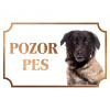 Estrélsky pastiersky pes - Kovová tabuľka POZOR PES