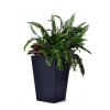 Keter Rattan plastový kvetináč M 55,4l 57 x 39 cm 228974 antracit