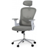 AUTRONIC Kancelářská stolička KA-K2031 GREY, šedá