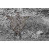 Maskovacie pončo Ghost Hoodie Ghosthood® IRR – Concamo Beige
