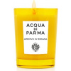 Aperitivo In Terrazza - svíčka 200 g - TESTER - Acqua Di Parma