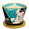 Shunga Luxusní masážní svíčka s ostrovních květů 170ml