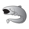 Delphin Nálepka sumec SILVER