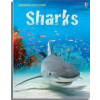 Sharks