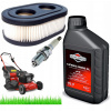 Olej na kosačku - SAE30 Oil Air Filter pristátie Briggs (SAE30 Oil Air Filter pristátie Briggs)