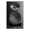 Kali Audio LP-6