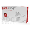 Fulton Medicinali S.p.A DAMUPROST čapíky rektálne 1x10 ks
