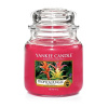 YANKEE CANDLE Tropical Jungle 411 g