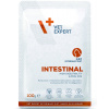 VetExpert VD 4T Intestinal Cat 100g