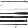Sumcový prút Daiwa Exceler Catfish Boje 3.00m 200-600g