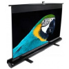 ELITE SCREENS ezCinema Series F60NWV