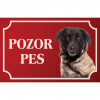 Estrélsky pastiersky pes - Kovová tabuľka POZOR PES