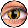 Maxvue Vision ColourVue Crazy šošovky - Wolf Moon (2 ks ročné) - nedioptrické