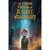 The Curious Vanishing of Beatrice Willoughby - G. Z. Schmidt