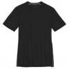 Icebreaker Anatomica SS Crewe Men (103033)